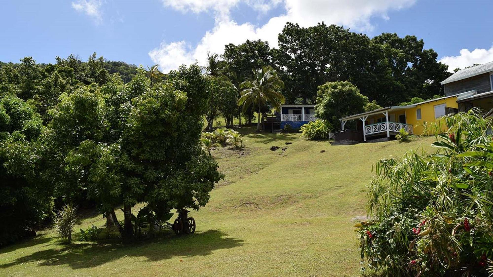 Villa Habitation Pineau à Deshaies Extérieur photo