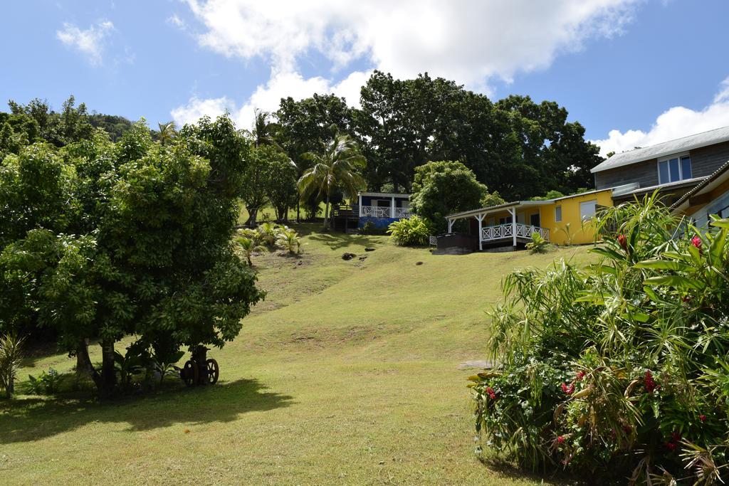 Villa Habitation Pineau à Deshaies Extérieur photo